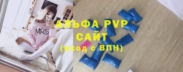 стафф Каменногорск
