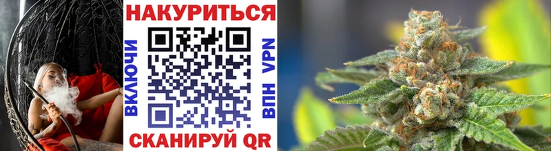 Купить Алзамай Бошки Шишки MAZAR
